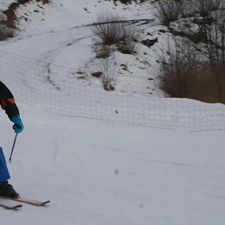 Okragle & Safari Guest house 4*