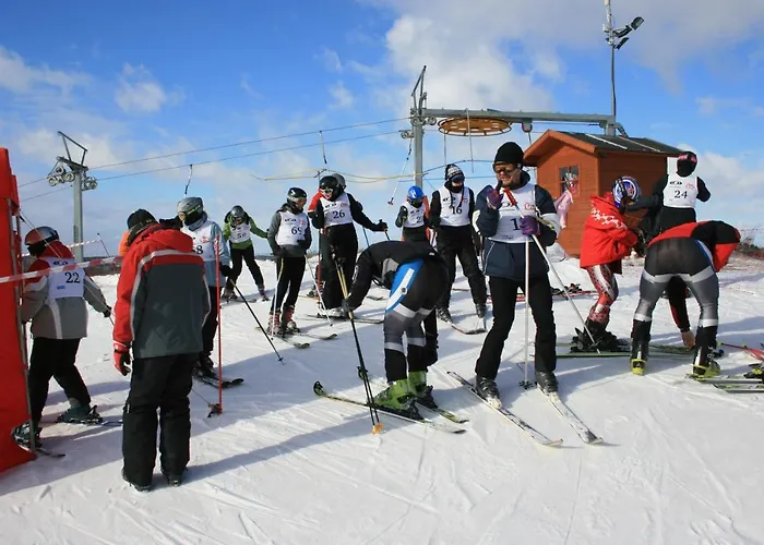 Okragle & Safari Orzysz