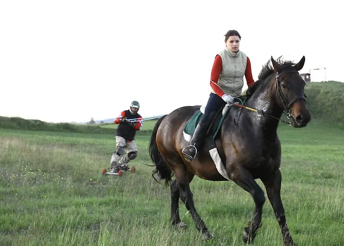 Okragle & Safari Maison d'hôtes