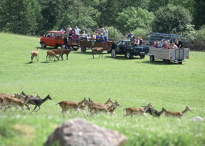 Okragle & Safari Maison d'hôtes Orzysz
